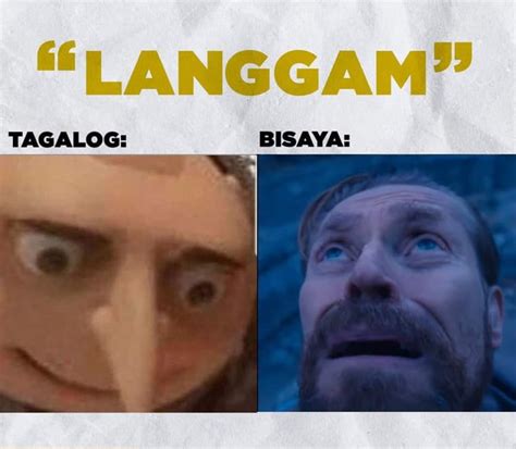 Libog